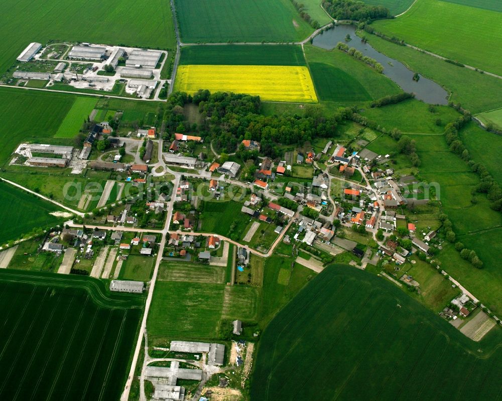 Isterbies from the bird's eye view: Village view on the edge of agricultural fields and land in Isterbies in the state Saxony-Anhalt, Germany