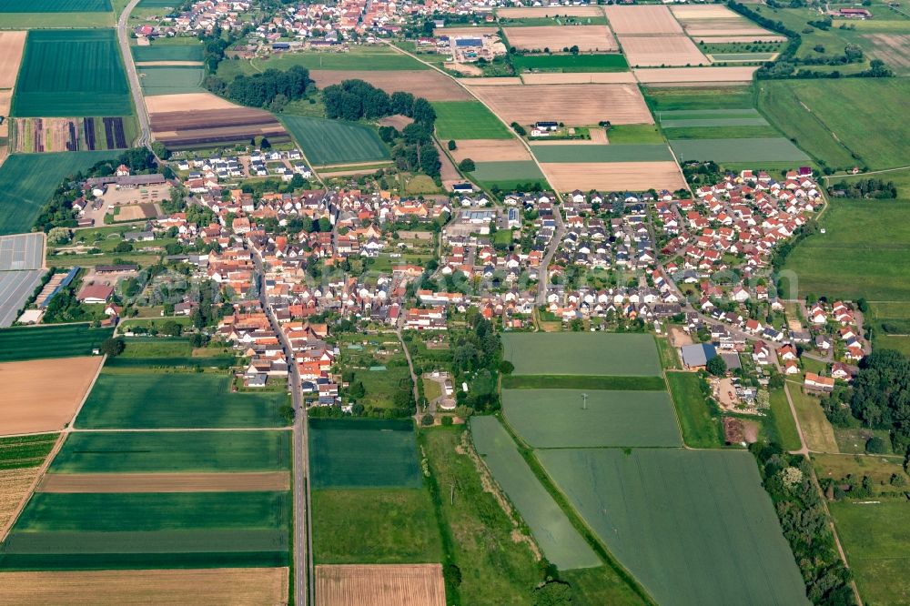 Knittelsheim from above - Village view on the edge of agricultural fields and land in Knittelsheim in the state Rhineland-Palatinate, Germany