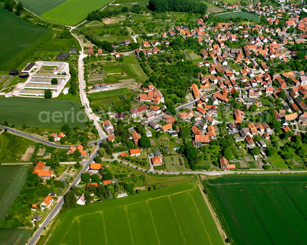 Langeln from the bird's eye view: Village view on the edge of agricultural fields and land in Langeln in the state Saxony-Anhalt, Germany