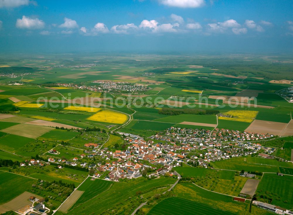 Langenau from above - Village view on the edge of agricultural fields and land in Langenau in the state Baden-Wuerttemberg, Germany