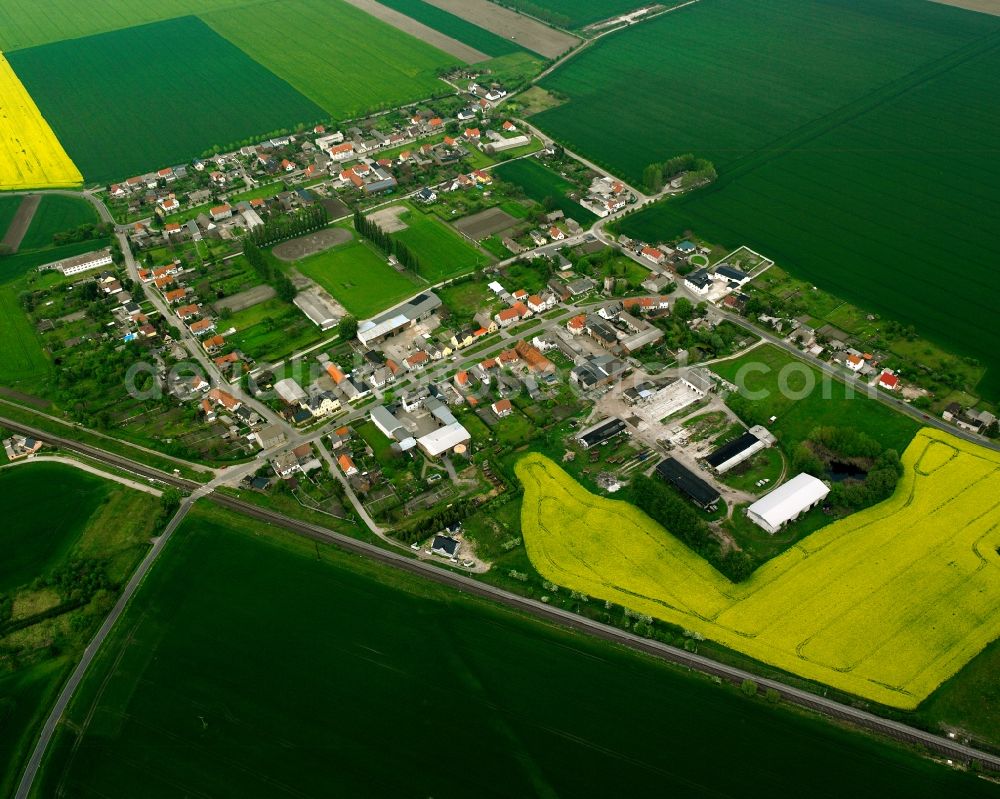 Lübs from above - Village view on the edge of agricultural fields and land in Lübs in the state Saxony-Anhalt, Germany