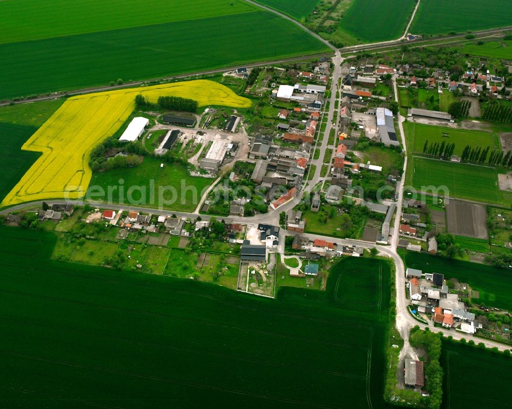 Aerial photograph Lübs - Village view on the edge of agricultural fields and land in Lübs in the state Saxony-Anhalt, Germany