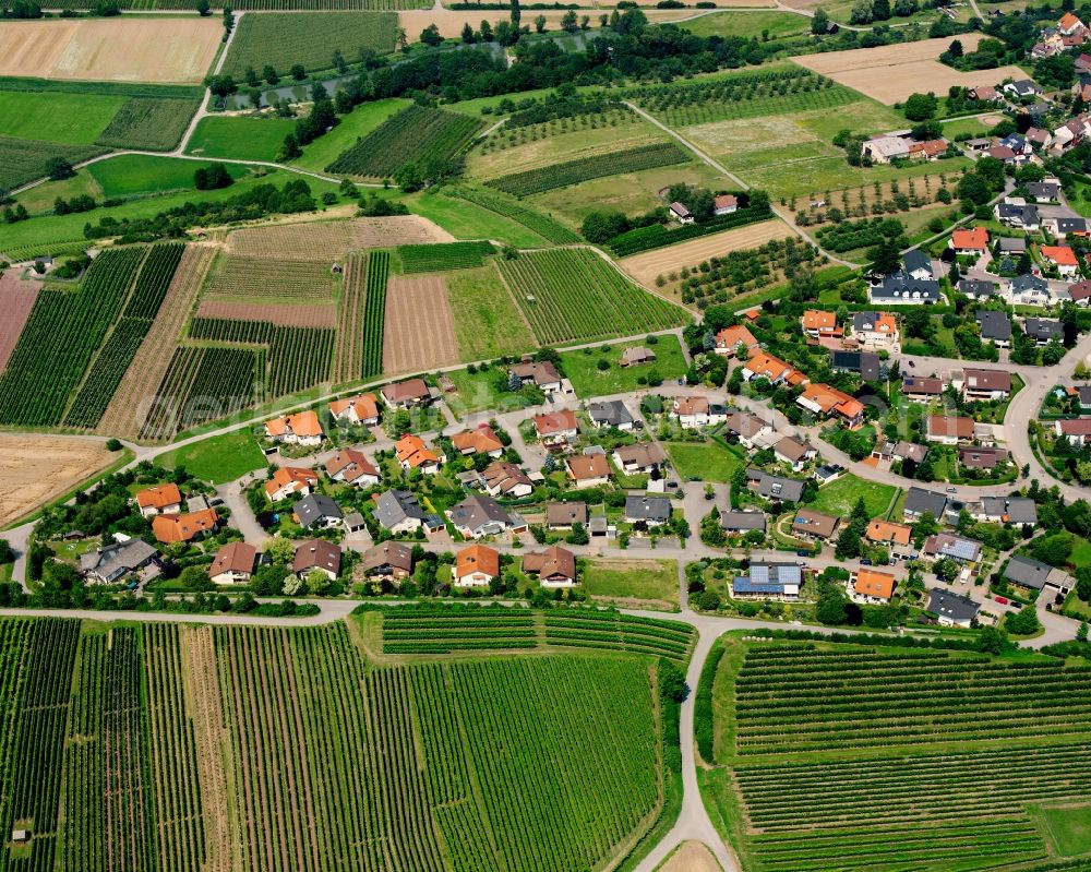 Lehrensteinsfeld from above - Village view on the edge of agricultural fields and land in Lehrensteinsfeld in the state Baden-Wuerttemberg, Germany