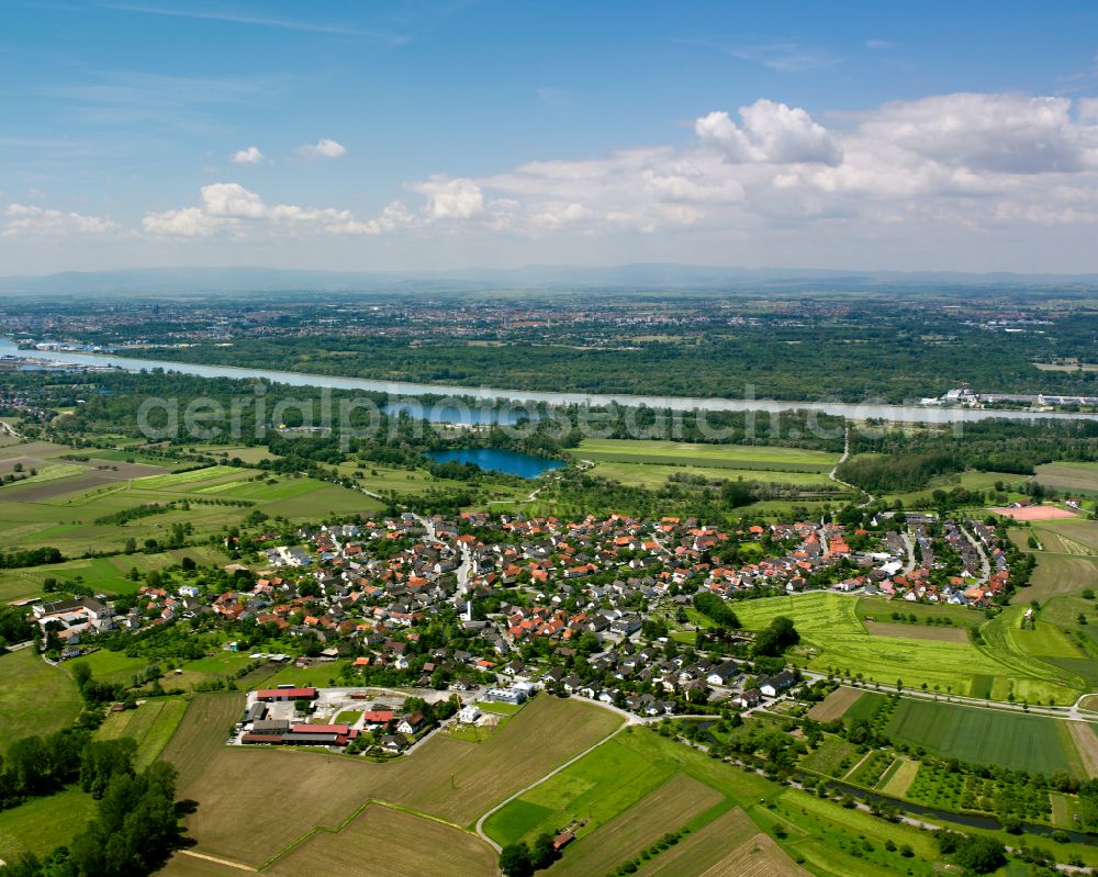 Aerial image Leutesheim - Village view on the edge of agricultural fields and land in Leutesheim in the state Baden-Wuerttemberg, Germany