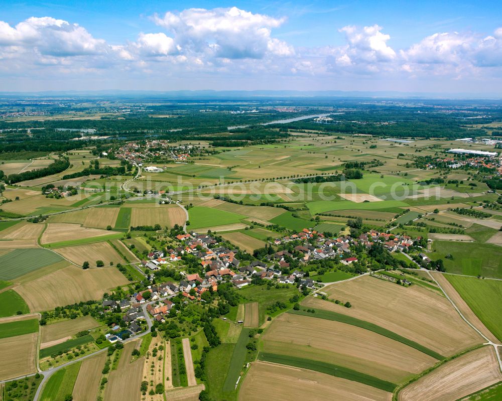 Aerial photograph Lichtenau - Village view on the edge of agricultural fields and land in Lichtenau in the state Baden-Wuerttemberg, Germany