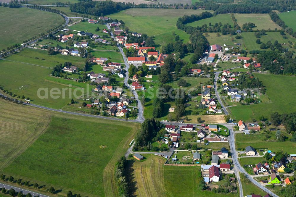 Lieske from above - Village view on the edge of agricultural fields and land on street Hauptstrasse in Lieske in the state Saxony, Germany