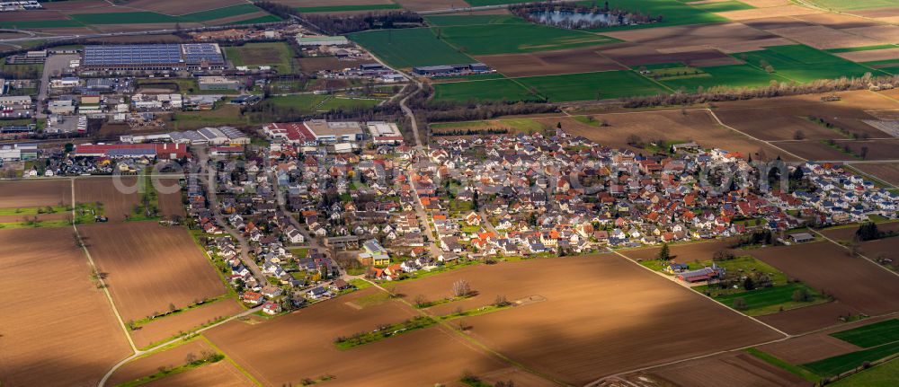 Mahlberg from the bird's eye view: Village view on the edge of agricultural fields and land in Mahlberg in the state Baden-Wuerttemberg, Germany