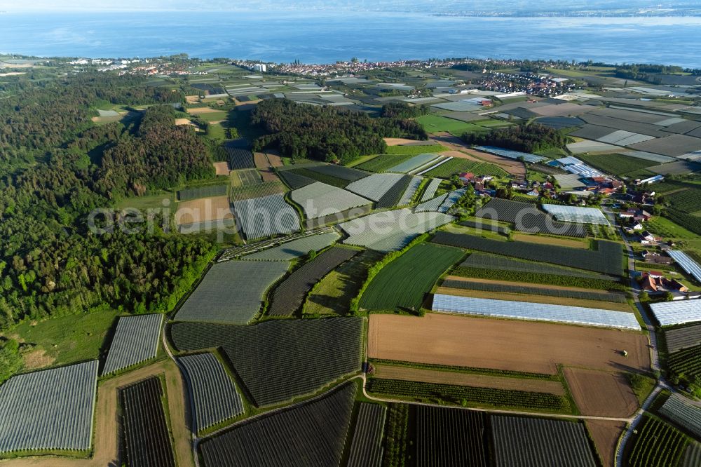 Aerial image Markdorf - Village view on the edge of agricultural fields and land in Markdorf in the state Baden-Wuerttemberg, Germany