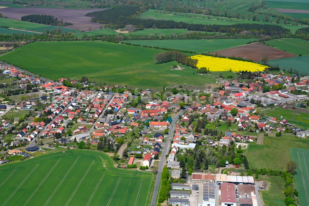 Miesterhorst from the bird's eye view: Village view on the edge of agricultural fields and land in Miesterhorst in the state Saxony-Anhalt, Germany