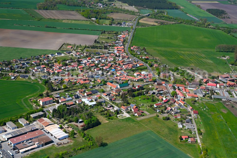 Aerial photograph Miesterhorst - Village view on the edge of agricultural fields and land in Miesterhorst in the state Saxony-Anhalt, Germany