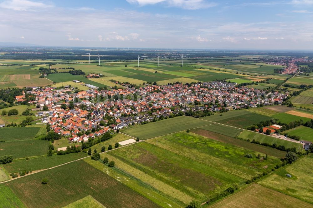 Minfeld from above - Village view on the edge of agricultural fields and land in Minfeld in the state Rhineland-Palatinate, Germany