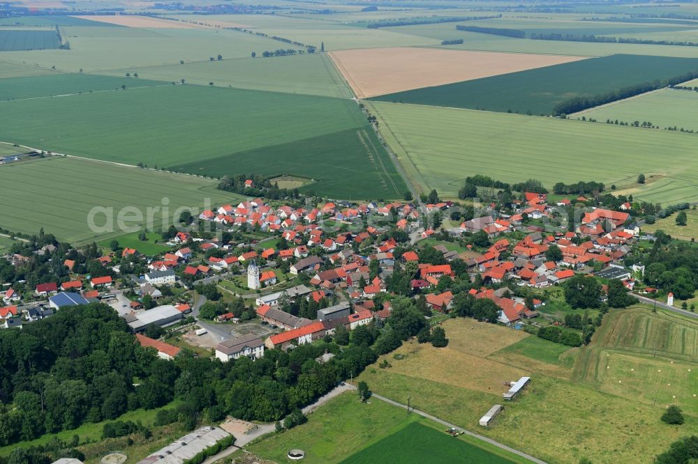 Minsleben from the bird's eye view: Village view on the edge of agricultural fields and land in Minsleben in the state Saxony-Anhalt, Germany