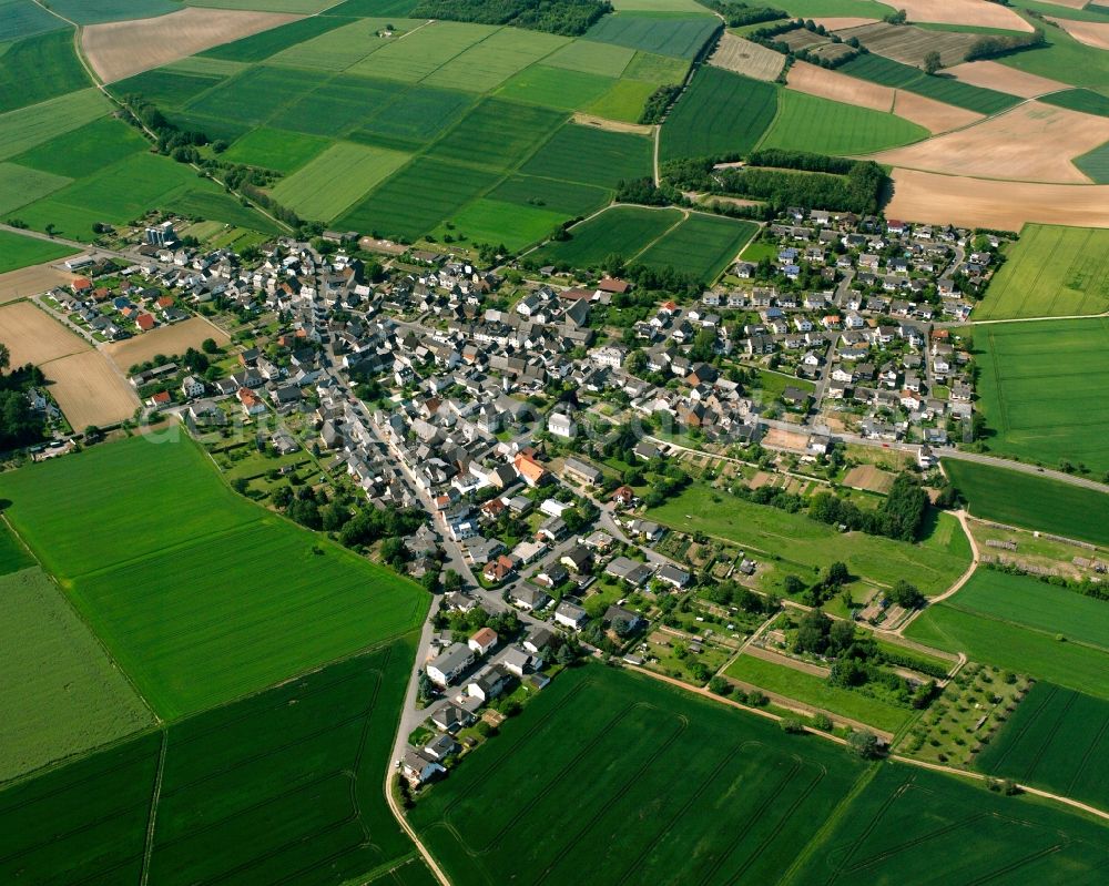 Aerial photograph Nauheim - Village view on the edge of agricultural fields and land in Nauheim in the state Hesse, Germany