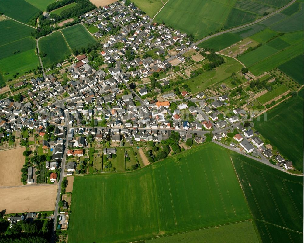 Nauheim from above - Village view on the edge of agricultural fields and land in Nauheim in the state Hesse, Germany