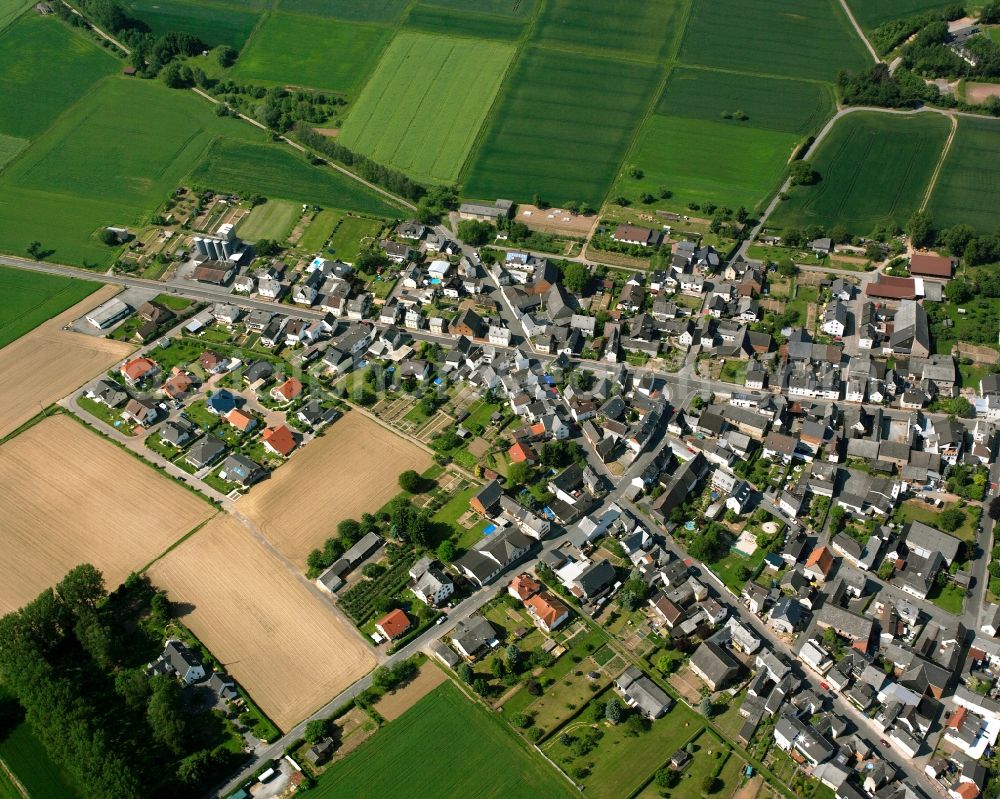 Nauheim from the bird's eye view: Village view on the edge of agricultural fields and land in Nauheim in the state Hesse, Germany