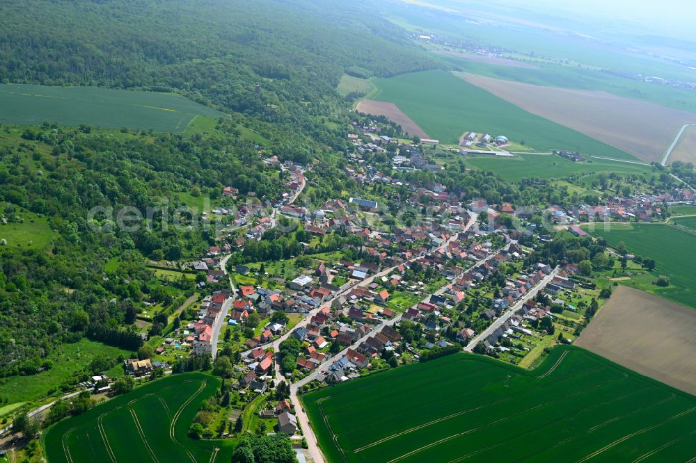 Neuglück from above - Village view on the edge of agricultural fields and land in Neuglück in the state Saxony-Anhalt, Germany