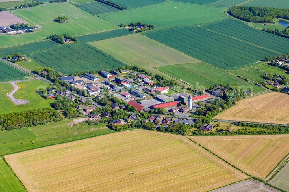 Aerial photograph Neukirchen - Village view on the edge of agricultural fields and land in Neukirchen at the baltic sea coast in the state Schleswig-Holstein, Germany