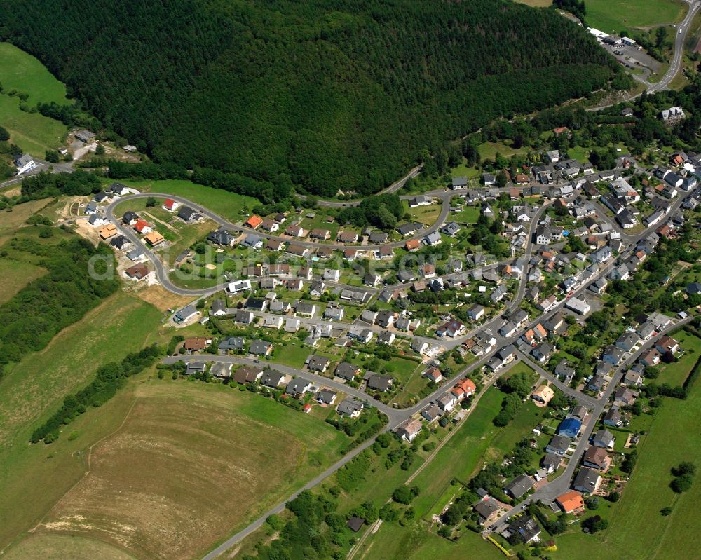 Niederwörresbach from the bird's eye view: Village view on the edge of agricultural fields and land in Niederwörresbach in the state Rhineland-Palatinate, Germany