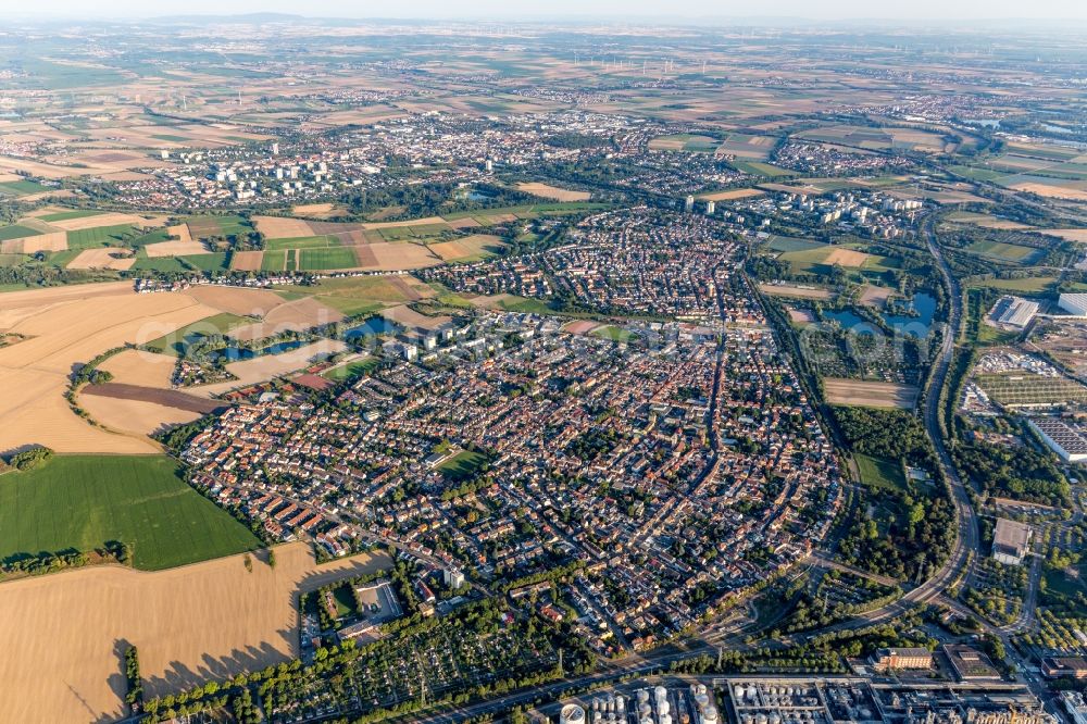 Oppau from the bird's eye view: Village view on the edge of agricultural fields and land in Oppau in the state Rhineland-Palatinate, Germany