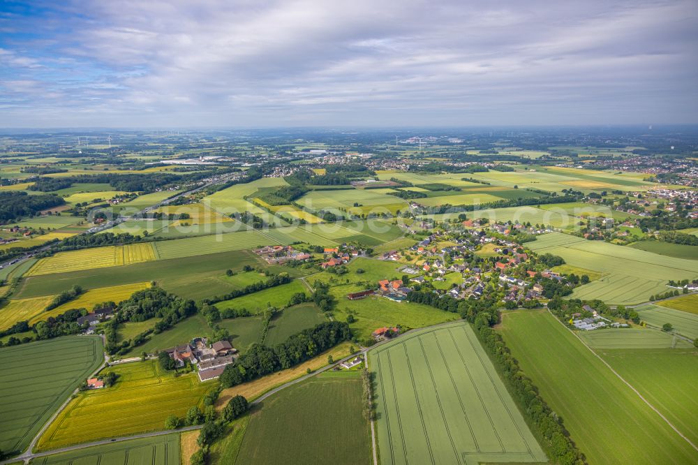 Aerial photograph Osttünnen - Village view on the edge of agricultural fields and land in Osttünnen in the state North Rhine-Westphalia, Germany