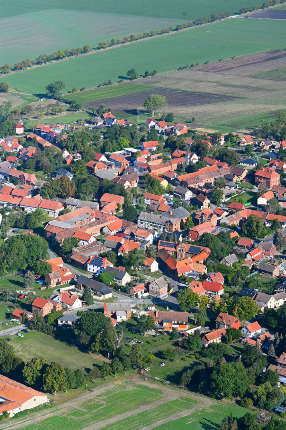 Pabstorf from above - Village view on the edge of agricultural fields and land in Pabstorf in the state Saxony-Anhalt, Germany