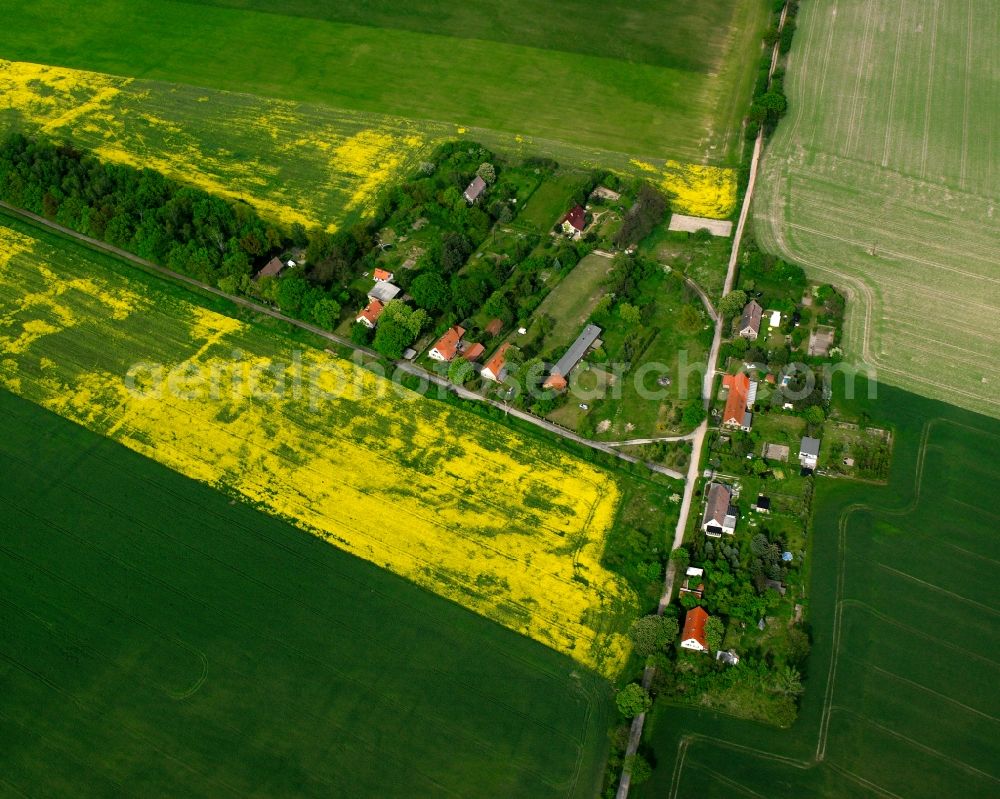 Aerial image Padegrim - Village view on the edge of agricultural fields and land in Padegrim in the state Saxony-Anhalt, Germany