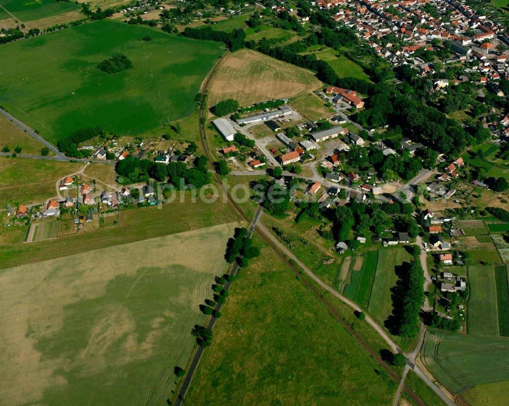 Padegrim from the bird's eye view: Village view on the edge of agricultural fields and land in Padegrim in the state Saxony-Anhalt, Germany