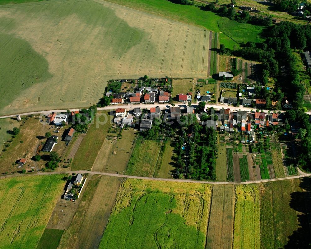 Aerial photograph Padegrim - Village view on the edge of agricultural fields and land in Padegrim in the state Saxony-Anhalt, Germany