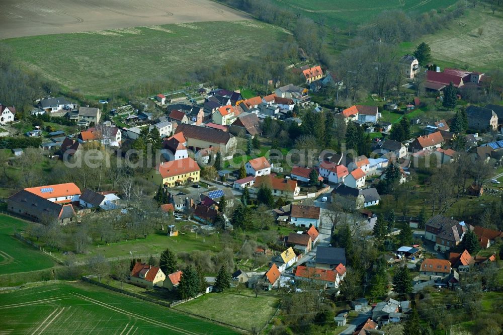 Pretitz from the bird's eye view: Village view on the edge of agricultural fields and land in Pretitz in the state Saxony-Anhalt, Germany