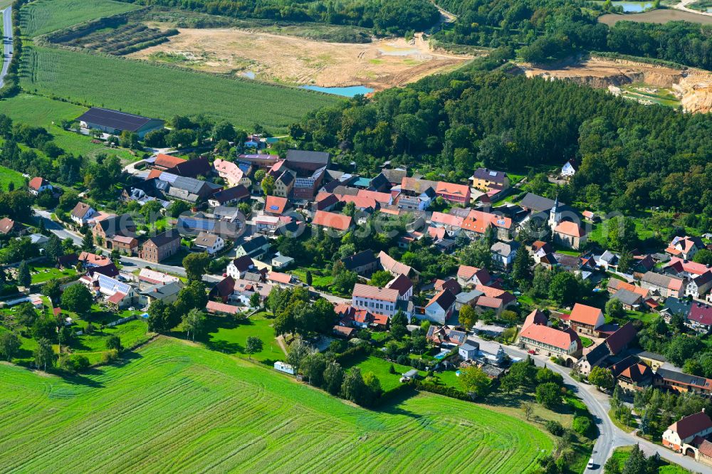 Aerial image Prießnitz - Village view on the edge of agricultural fields and land in Prießnitz in the state Saxony-Anhalt, Germany