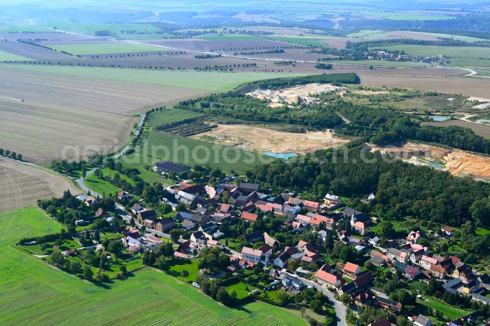 Aerial photograph Prießnitz - Village view on the edge of agricultural fields and land in Prießnitz in the state Saxony-Anhalt, Germany