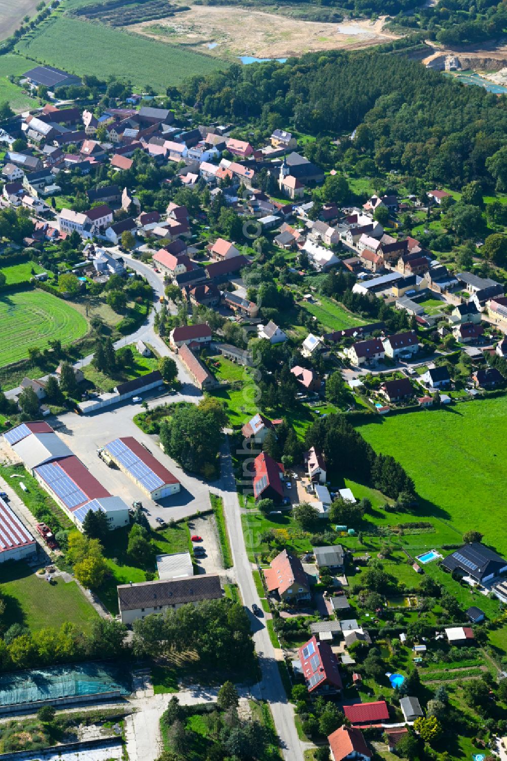 Prießnitz from the bird's eye view: Village view on the edge of agricultural fields and land in Prießnitz in the state Saxony-Anhalt, Germany