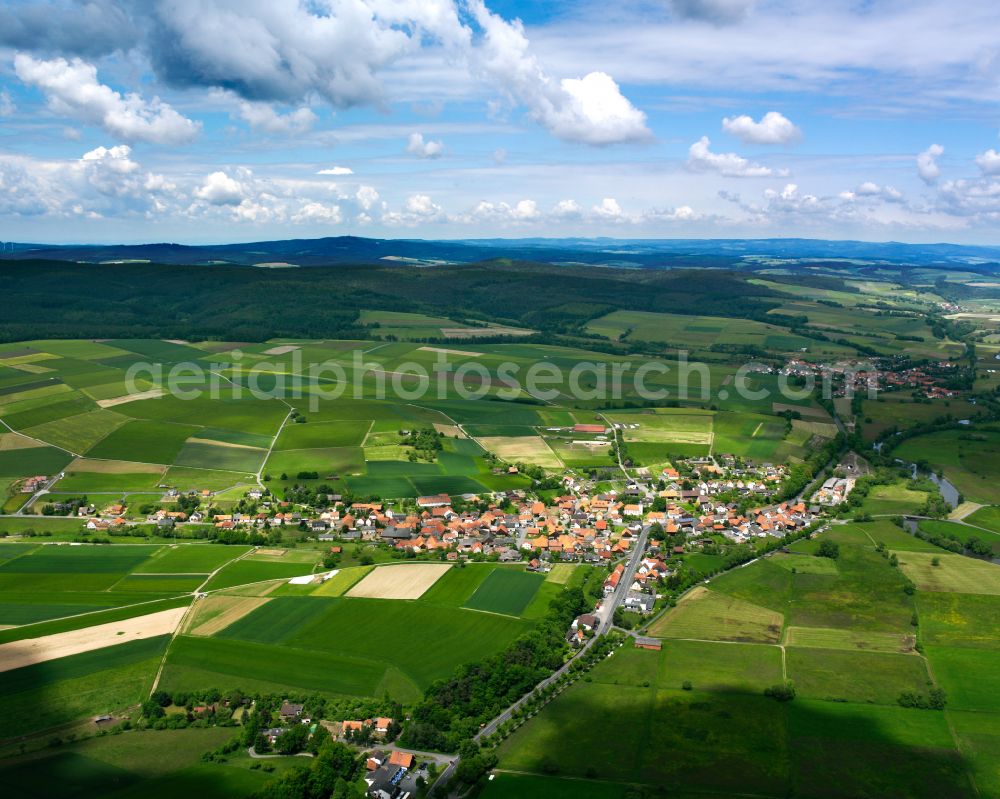 Queck from the bird's eye view: Village view on the edge of agricultural fields and land in Queck in the state Hesse, Germany