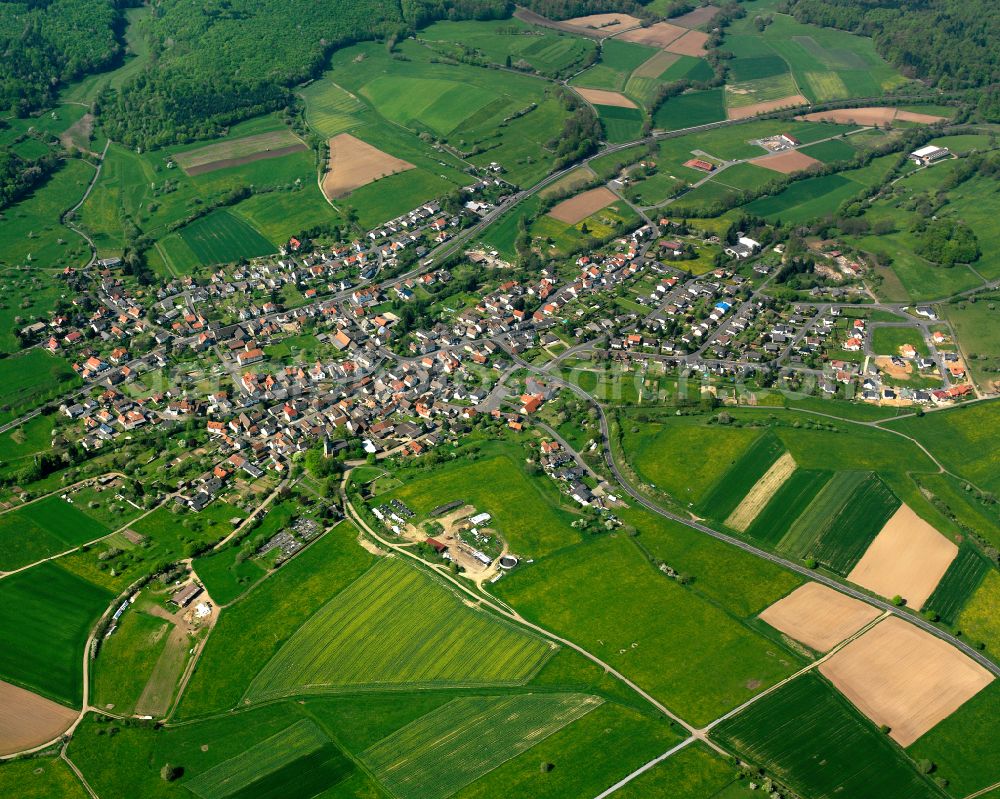 Rainrod from above - Village view on the edge of agricultural fields and land in Rainrod in the state Hesse, Germany