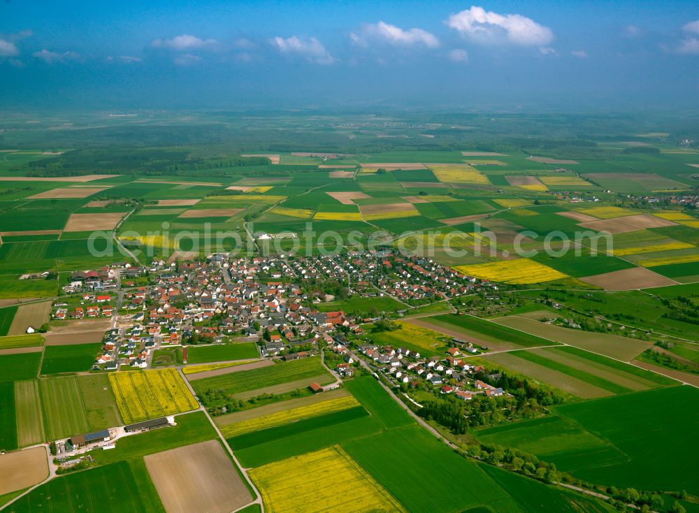 Aerial photograph Rammingen - Village view on the edge of agricultural fields and land in Rammingen in the state Baden-Wuerttemberg, Germany