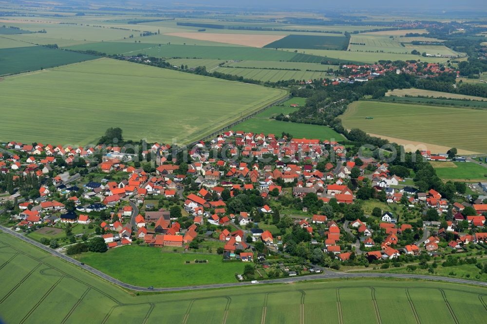 Aerial image Reddeber - Village view on the edge of agricultural fields and land in Reddeber in the state Saxony-Anhalt, Germany