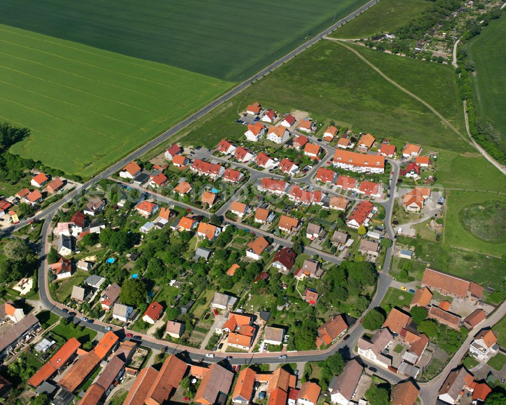 Reddeber from the bird's eye view: Village view on the edge of agricultural fields and land in Reddeber in the state Saxony-Anhalt, Germany