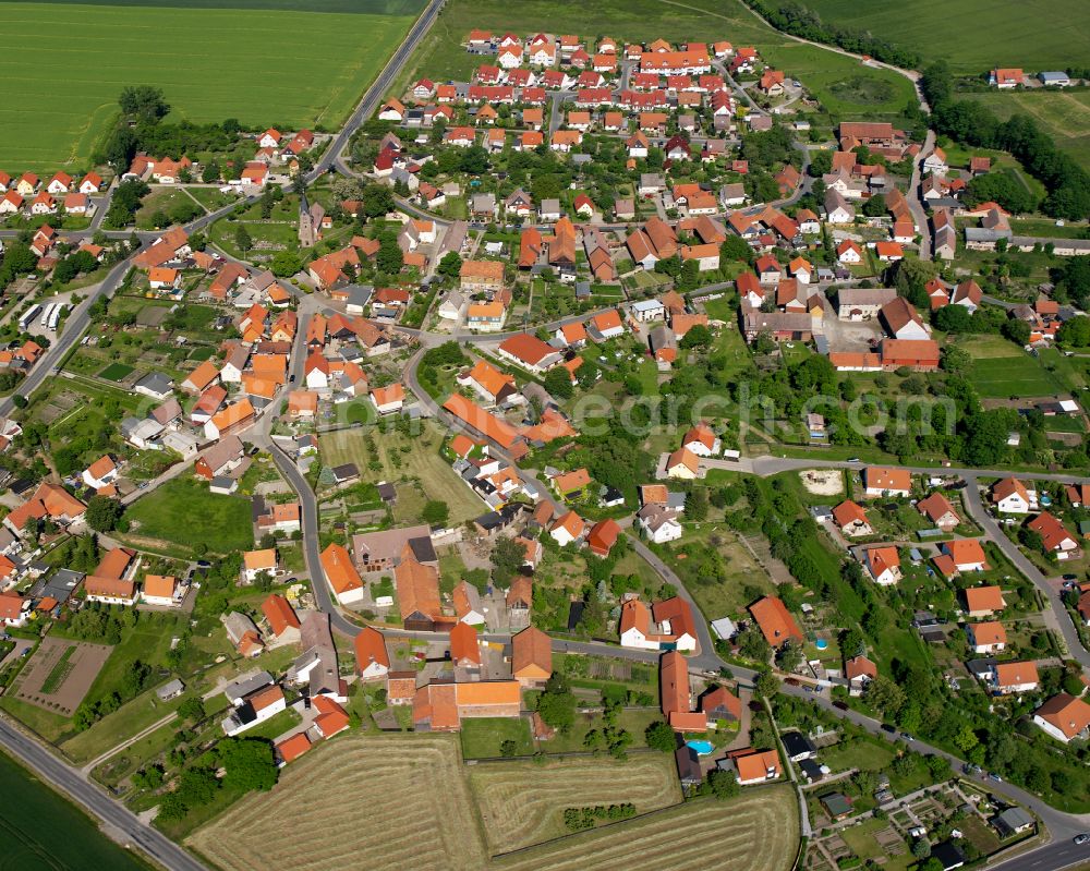 Reddeber from above - Village view on the edge of agricultural fields and land in Reddeber in the state Saxony-Anhalt, Germany