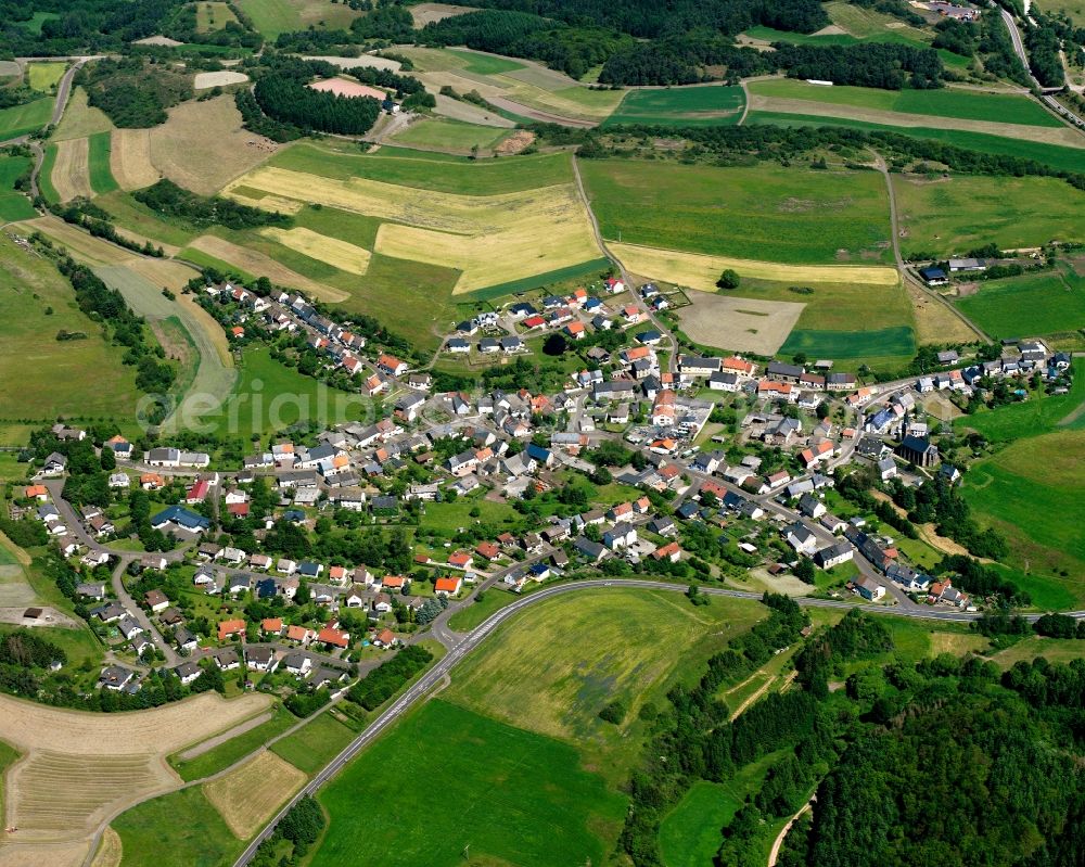 Reichenbach from above - Village view on the edge of agricultural fields and land in Reichenbach in the state Rhineland-Palatinate, Germany