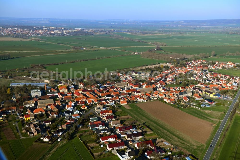 Aerial photograph Reinsdorf - Village view on the edge of agricultural fields and land in Reinsdorf in the state Thuringia, Germany