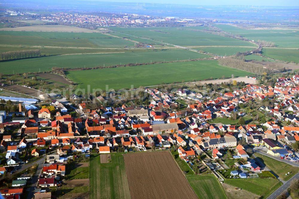 Aerial photograph Reinsdorf - Village view on the edge of agricultural fields and land in Reinsdorf in the state Thuringia, Germany