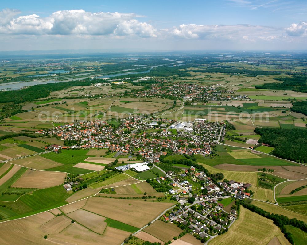 Aerial image Rheinbischofsheim - Village view on the edge of agricultural fields and land in Rheinbischofsheim in the state Baden-Wuerttemberg, Germany