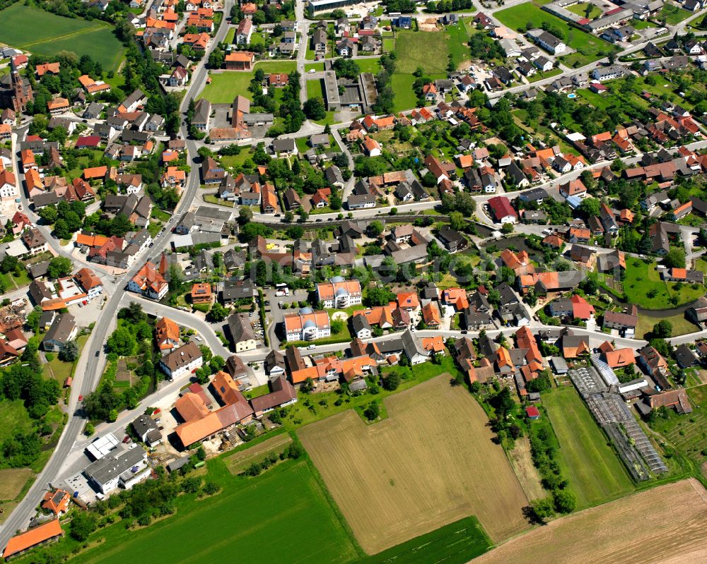 Aerial photograph Rheinbischofsheim - Village view on the edge of agricultural fields and land in Rheinbischofsheim in the state Baden-Wuerttemberg, Germany