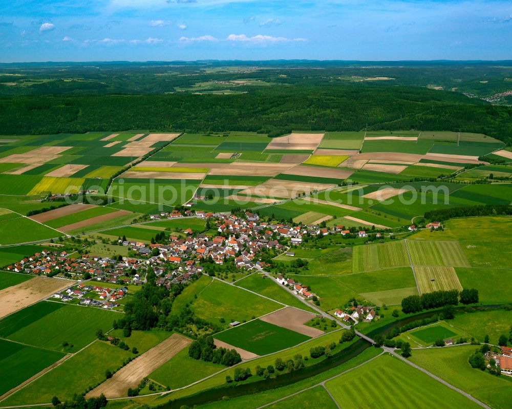 Riedlingen from the bird's eye view: Village view on the edge of agricultural fields and land in Riedlingen in the state Baden-Wuerttemberg, Germany