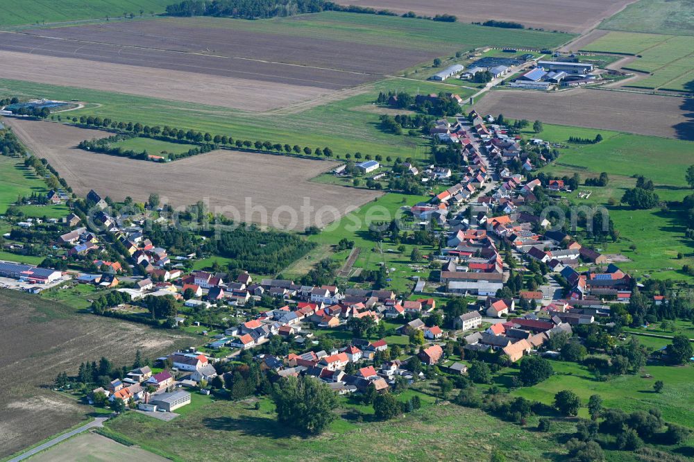 Rosian from the bird's eye view: Village view on the edge of agricultural fields and land in Rosian in the state Saxony-Anhalt, Germany