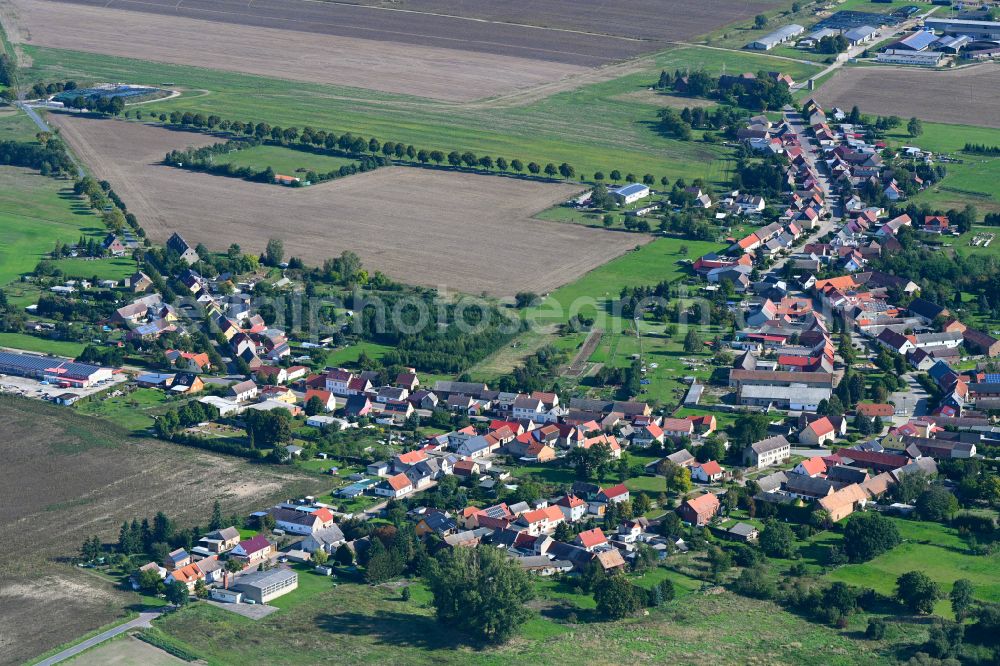 Aerial image Rosian - Village view on the edge of agricultural fields and land in Rosian in the state Saxony-Anhalt, Germany