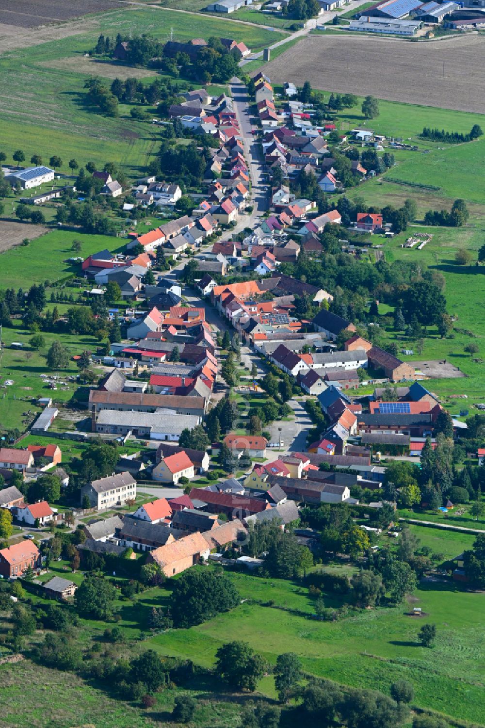 Aerial photograph Rosian - Village view on the edge of agricultural fields and land in Rosian in the state Saxony-Anhalt, Germany