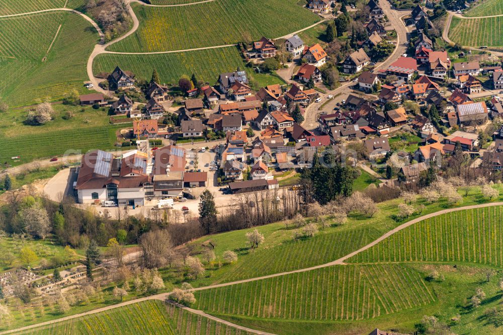 Aerial photograph Sasbachwalden - Village view on the edge of agricultural fields and land in Sasbachwalden in the state Baden-Wuerttemberg, Germany