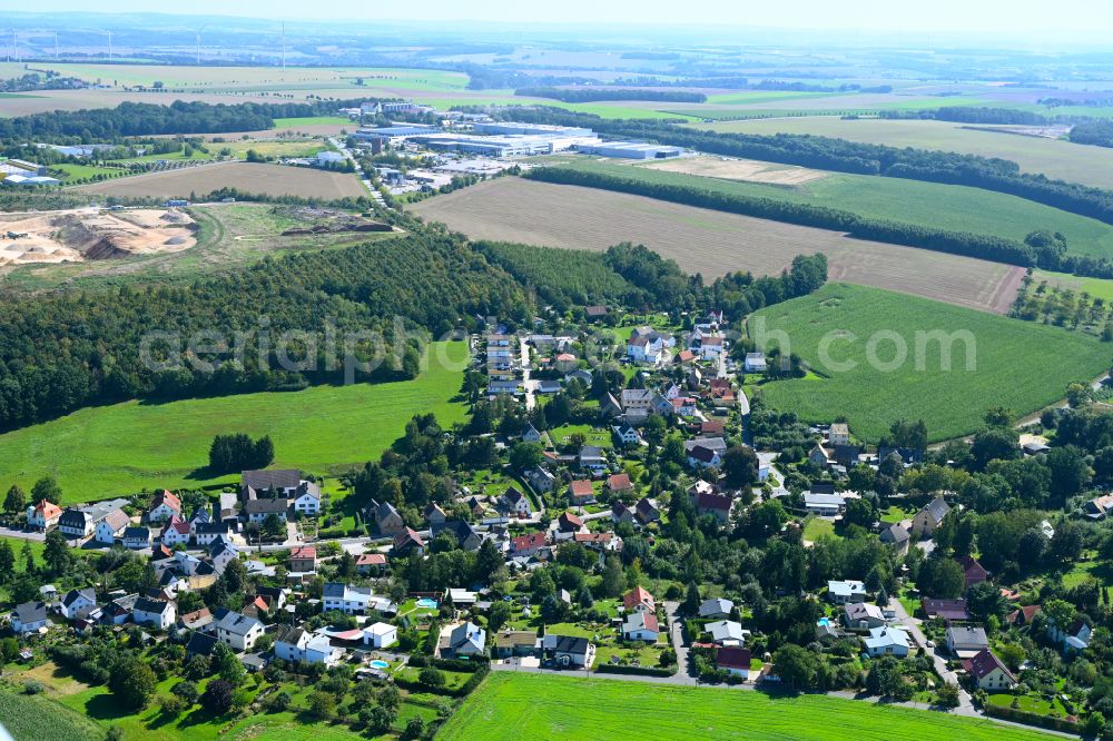 Aerial photograph Schloßig - Village view on the edge of agricultural fields and land in Schloßig in the state Thuringia, Germany