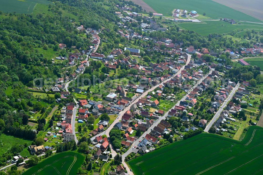 Schmalzerode from above - Village view on the edge of agricultural fields and land in Schmalzerode in the state Saxony-Anhalt, Germany